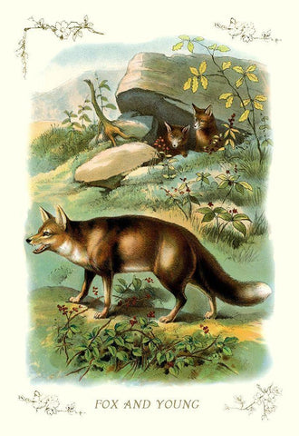 Fox and Young, 1900 White Modern Wood Framed Art Print with Double Matting by Unknown