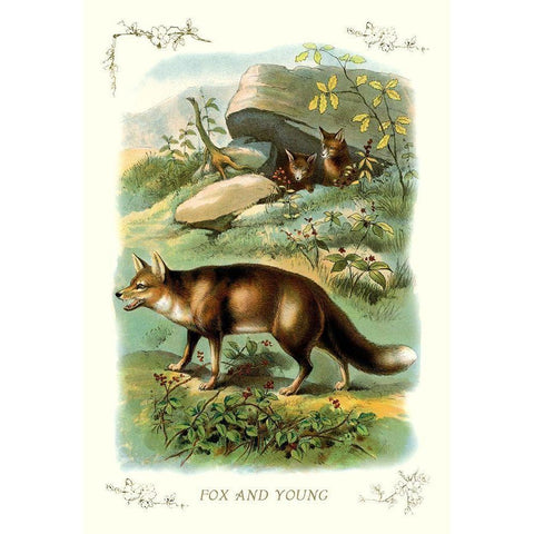 Fox and Young, 1900 White Modern Wood Framed Art Print by Unknown