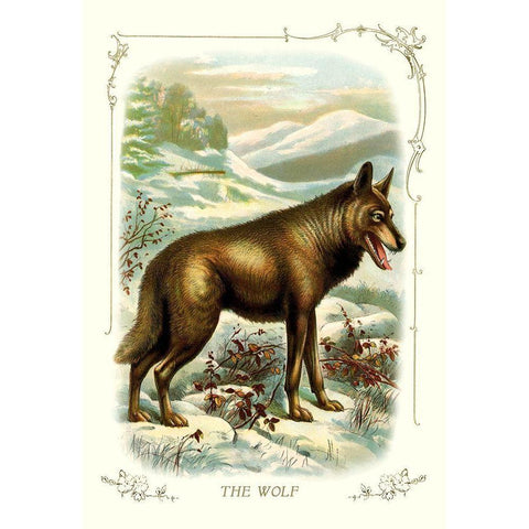 The Wolf, 1900 Gold Ornate Wood Framed Art Print with Double Matting by Unknown