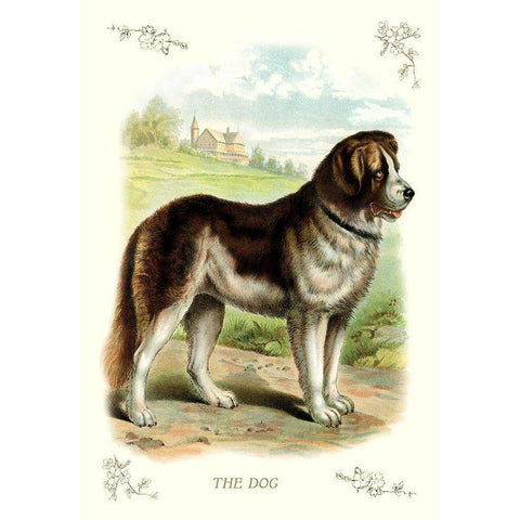 The Dog, 1900 Black Modern Wood Framed Art Print with Double Matting by Unknown