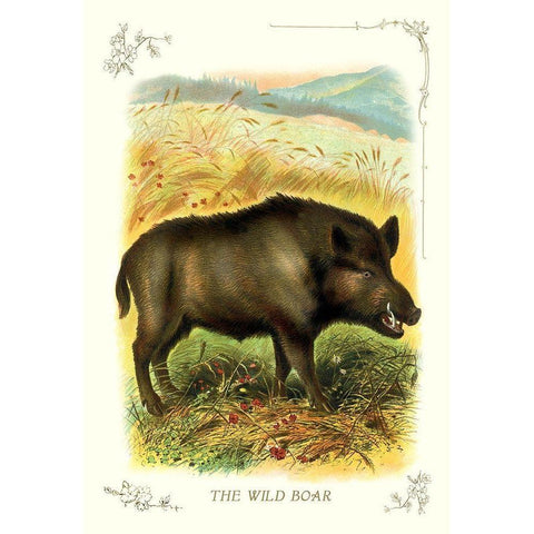 The Wild Boar, 1900 Gold Ornate Wood Framed Art Print with Double Matting by Unknown