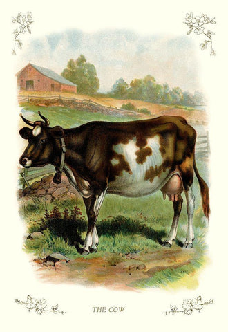 The Cow, 1900 Black Ornate Wood Framed Art Print with Double Matting by Unknown
