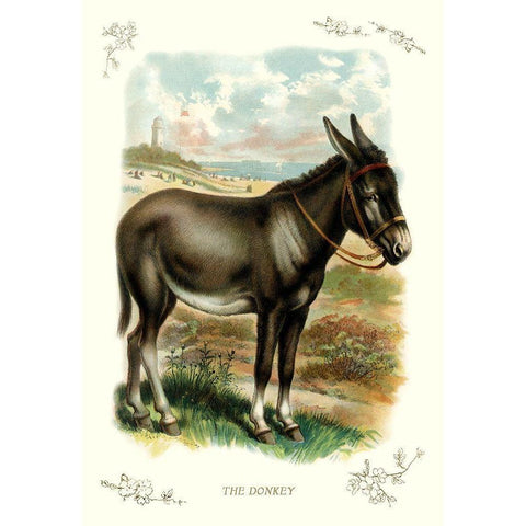 The Donkey, 1900 Gold Ornate Wood Framed Art Print with Double Matting by Unknown