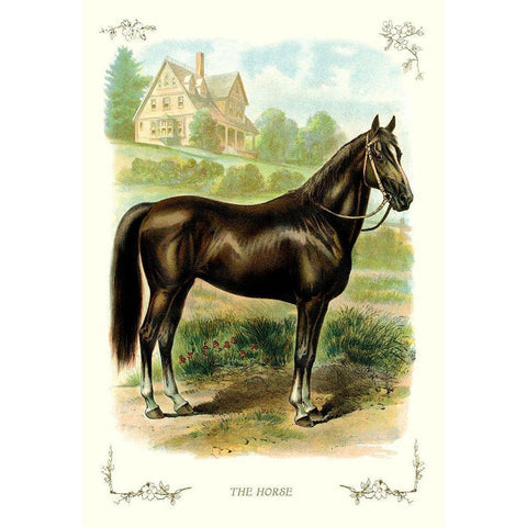 The Horse, 1900 Gold Ornate Wood Framed Art Print with Double Matting by Unknown