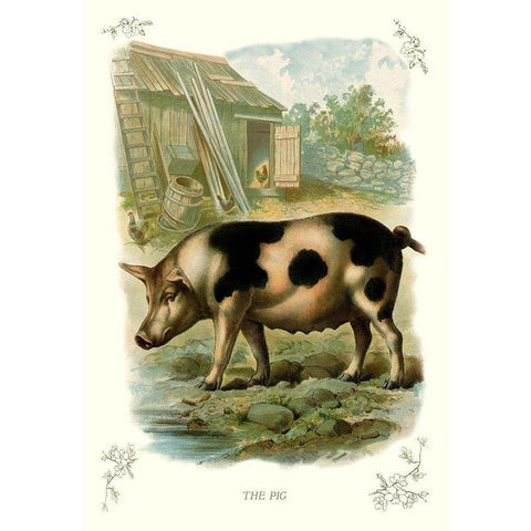 The Pig, 1900 Gold Ornate Wood Framed Art Print with Double Matting by Unknown