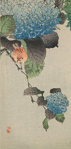 Small bird and hydrangea Black Ornate Wood Framed Art Print with Double Matting by Unknown