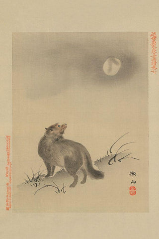 Fox White Modern Wood Framed Art Print with Double Matting by Unknown