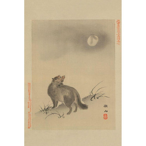 Fox Black Modern Wood Framed Art Print by Unknown