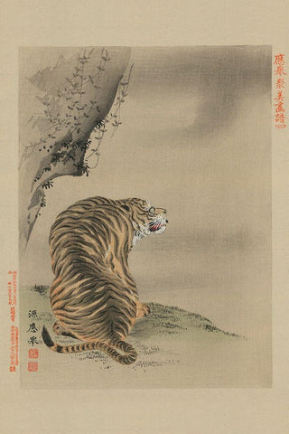 Tiger White Modern Wood Framed Art Print with Double Matting by Unknown