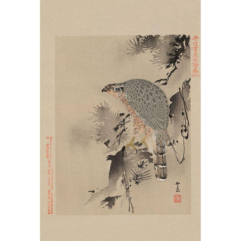 Hawk Black Modern Wood Framed Art Print by Unknown