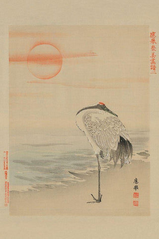 Heron White Modern Wood Framed Art Print with Double Matting by Unknown