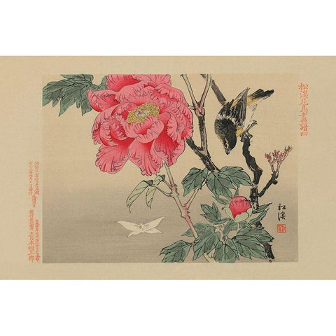 Bird watching a Butterfly Black Modern Wood Framed Art Print by Unknown