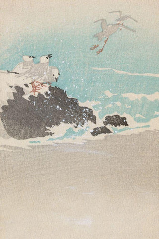 Plovers over waves White Modern Wood Framed Art Print with Double Matting by Unknown