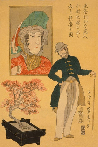 American merchant delighted with miniature cherry tree (Amerika no shonin shoju no sakura o motomete Black Ornate Wood Framed Art Print with Double Matting by Utagawa, Sadahide