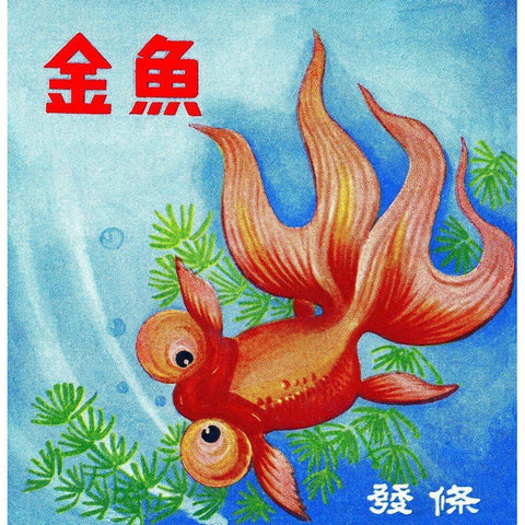 Fancy Bubble Eye Goldfish White Modern Wood Framed Art Print by Retrobot