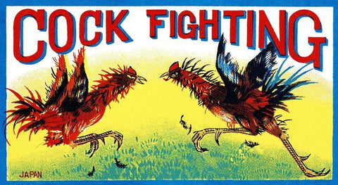 Cock Fighting White Modern Wood Framed Art Print with Double Matting by Retrobot