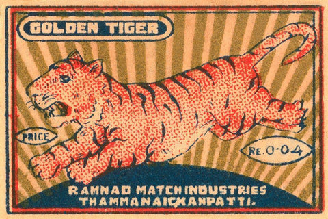 Golden Tiger White Modern Wood Framed Art Print with Double Matting by Unknown