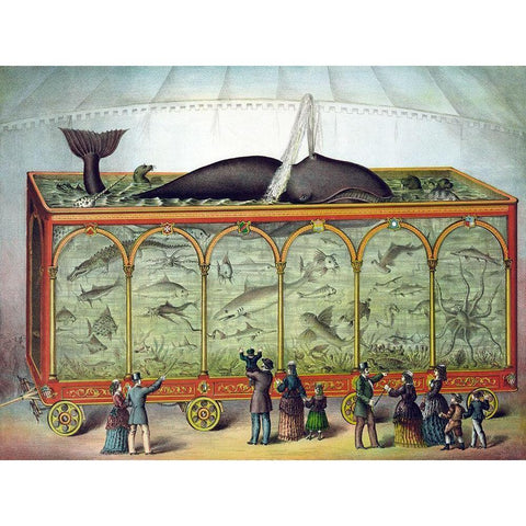 Aquarium White Modern Wood Framed Art Print by Gibson and Co.