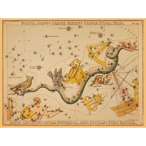 Noctua, Corvus, Crater, Sextans Uraniae, Hydra, Felis, Lupus, Centaurus, Antlia Pneumatica, Argo Nav Gold Ornate Wood Framed Art Print with Double Matting by Aspin, Jehoshaphat