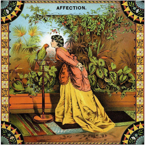 Affection White Modern Wood Framed Art Print with Double Matting by Unknown