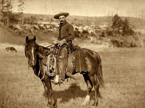 Cow Boy White Modern Wood Framed Art Print with Double Matting by Grabill, John C.H.