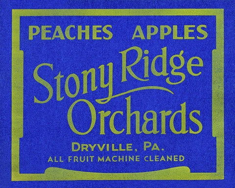 Stony Ridge Orchards Peaches and Apples White Modern Wood Framed Art Print with Double Matting by Unknown