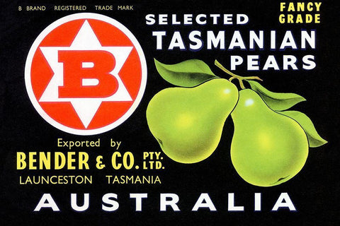 Bender and Co. Selected Tasmanian Pears White Modern Wood Framed Art Print with Double Matting by Unknown