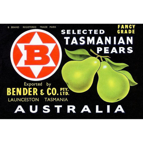 Bender and Co. Selected Tasmanian Pears Black Modern Wood Framed Art Print with Double Matting by Unknown