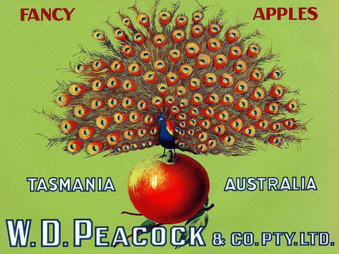 W.D. Peacock Fancy Apples White Modern Wood Framed Art Print with Double Matting by Retrolabel
