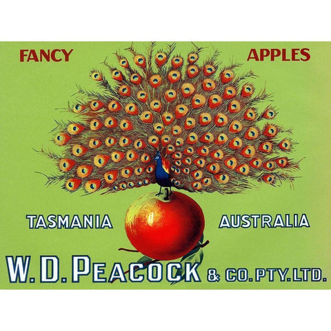 W.D. Peacock Fancy Apples Black Modern Wood Framed Art Print by Retrolabel