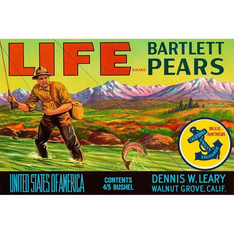 Life Brand Bartlett Pears Black Modern Wood Framed Art Print with Double Matting by Retrolabel