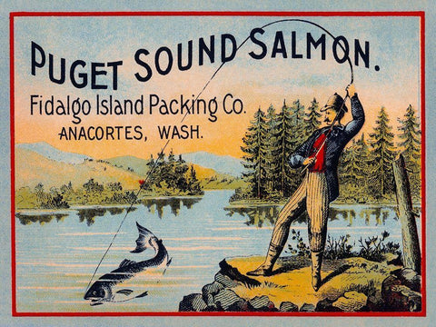 Puget Sound Salmon - On the Fly White Modern Wood Framed Art Print with Double Matting by Retrolabel