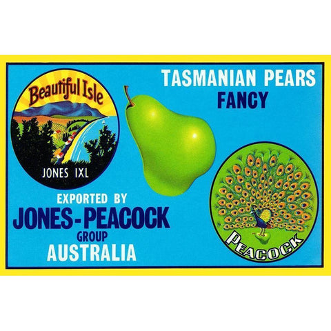 Jones-Peacock Tasmanian Pears Black Modern Wood Framed Art Print with Double Matting by Retrolabel