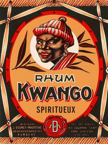 Rhum Kwango White Modern Wood Framed Art Print with Double Matting by Retrolabel