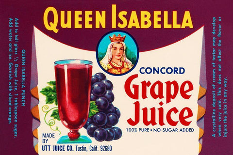 Queen Isabella Concord Grape Juice Black Ornate Wood Framed Art Print with Double Matting by Retrolabel