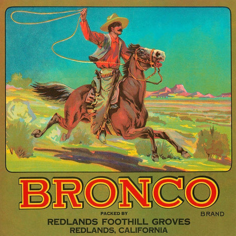 Bronco Brand Crate Label Gold Ornate Wood Framed Art Print with Double Matting by Retrolabel