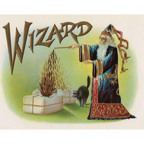 Wizard White Modern Wood Framed Art Print by Halloween