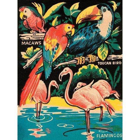 Tropical Hobbyland - Birds Gold Ornate Wood Framed Art Print with Double Matting by Retrotravel