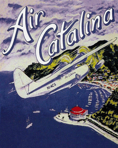 Air Catalina Black Ornate Wood Framed Art Print with Double Matting by Miltimore, Gary