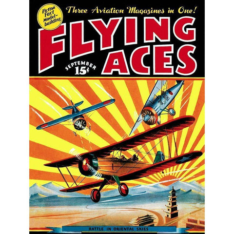 Flying Aces over the Rising Sun Black Modern Wood Framed Art Print with Double Matting by Mayshark, C.B.