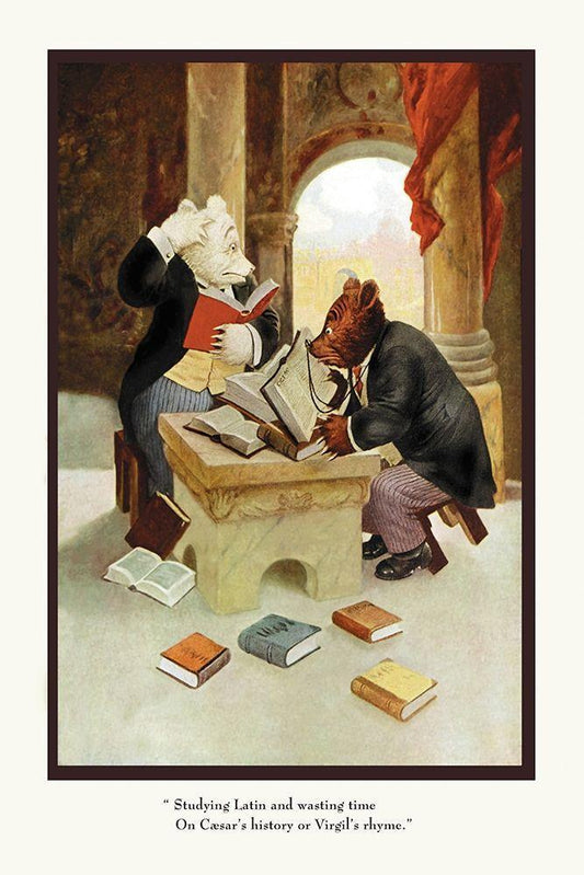 Image Only