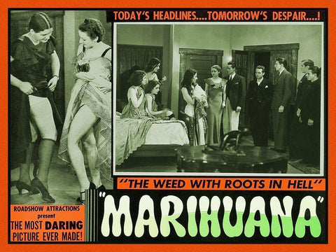 Vintage Vices: Marihuana: The Weed With Roots in Hell White Modern Wood Framed Art Print with Double Matting by Vintage Vices