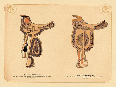 Saddles and Tack: Morgan Saddles #1 Black Ornate Wood Framed Art Print with Double Matting by Unknown