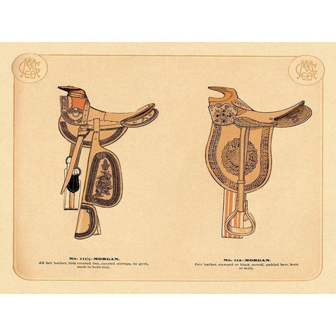 Saddles and Tack: Morgan Saddles #1 White Modern Wood Framed Art Print by Unknown