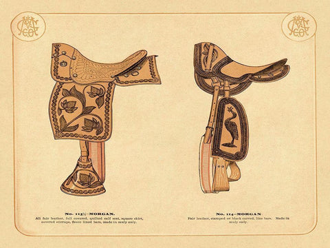 Saddles and Tack: Morgan Saddles #2 White Modern Wood Framed Art Print with Double Matting by Unknown