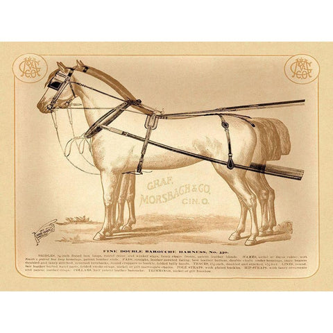 Saddles and Tack: Fine Double Barouche Harness Black Modern Wood Framed Art Print with Double Matting by Unknown