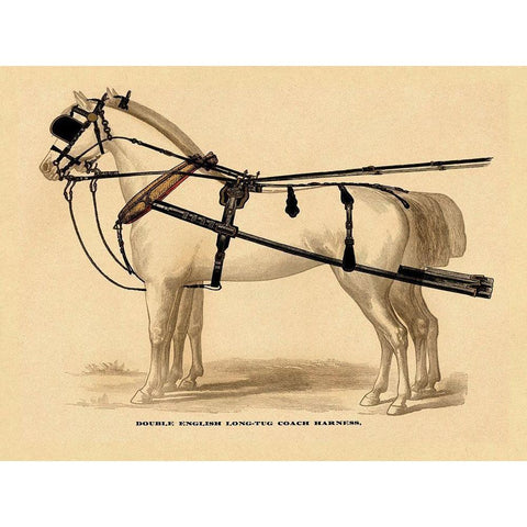 Saddles and Tack: Double English Long-Tug Coach,Sport,Competition,Sports,Play,win,score Harness White Modern Wood Framed Art Print by Unknown