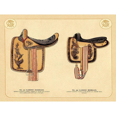 Saddles and Tack: Ladies Saddles #4 White Modern Wood Framed Art Print by Unknown