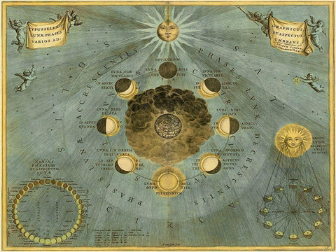 Maps of the Heavens: Phases Luna White Modern Wood Framed Art Print with Double Matting by Cellarius, Andreas