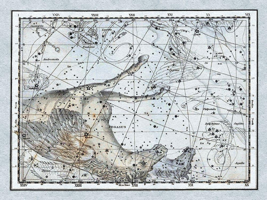 Image Only